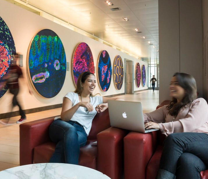 Two friends studying in a graduate residence lounge